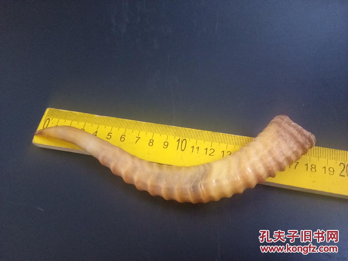 传世清代老羚羊角摆件 拍品编号:30227066