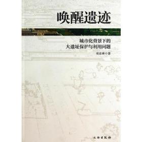 唤醒遗迹——城市化背景下的大遗址保护与利用问题