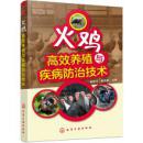火鸡高效养殖与疾病防治技术 火鸡养殖书籍 火鸡养殖图书