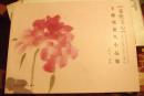 王德亮花鸟小品集 素纸文心 画的真好 定价68元 新书.】】