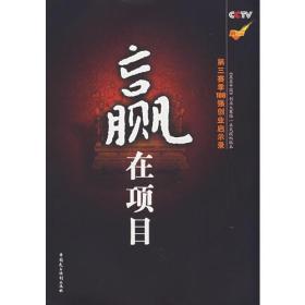 赢在项目——赢在中国第三季108强创业启示录