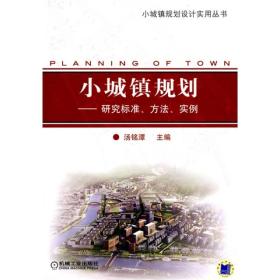 小城镇规划：研究标准、方法、实例