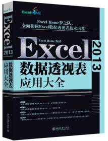 Excel 2013数据透视表应用大全