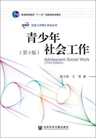 青少年社会工作（第3版）内页干净