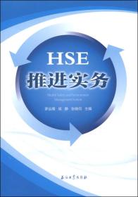 HSE推进实务