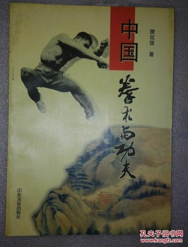 中国拳术与功夫