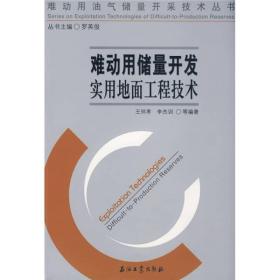 难动用油气储量开采技术丛书 难动用储量开发实用地面工程技术 精