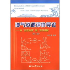 油气资源评价导论——从“数字地球”到数字油藏“