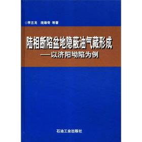 陆相断陷盆地隐蔽油气藏形成