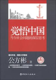 觉悟中国：当今社会问题的深层思考 公方彬  著 9787500853831