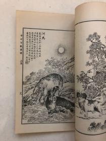 马骀画宝之一《中外百兽画谱》上下册