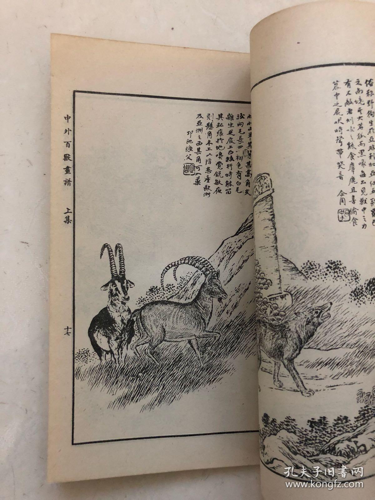 马骀画宝之一《中外百兽画谱》上下册