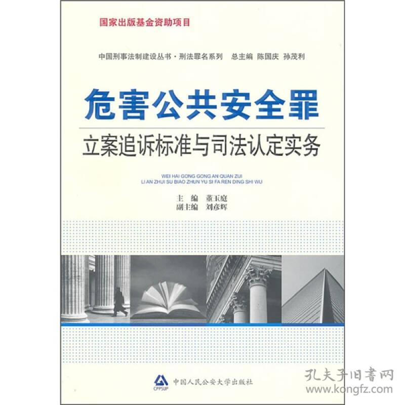 中国刑事法制建设丛书：危害公共安全罪立案追诉标准与司法认定实务