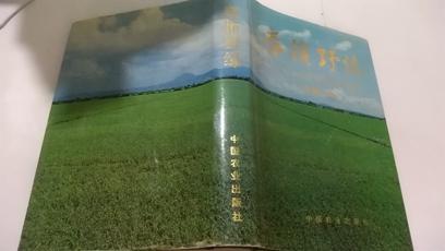 春催野綠——廣東農(nóng)村改革與發(fā)展實踐       凌伯棠 著