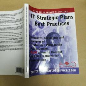 It战略计划最佳实践 It Strategic Plans Best Practices