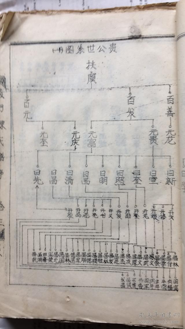 云南陈姓图片