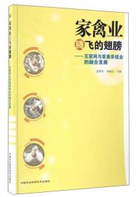 家禽业腾飞的翅膀：互联网与家禽养殖业的融合发展