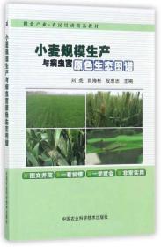 小麦规模生产与病虫害原色生态图谱/粮食产业农民培训精品教材