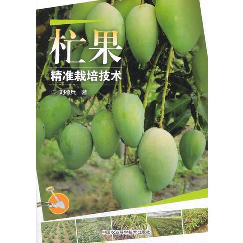 杧果精準(zhǔn)栽培技術(shù)