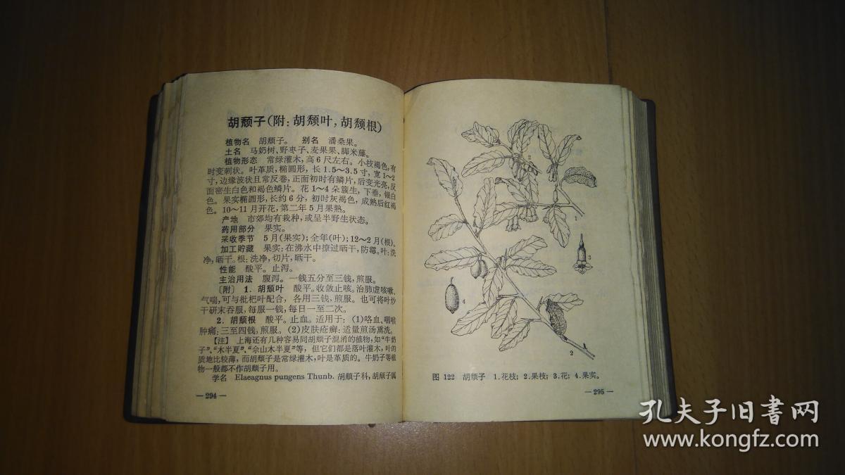上海常用中草药