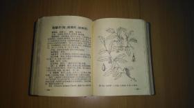 上海常用中草药