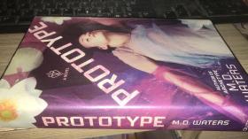 Prototype: A Novel (Archetype series)英文原版