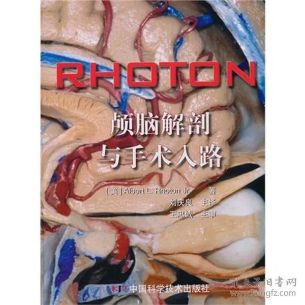 RHOTON?颅脑解剖与手术入路