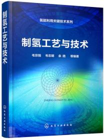 氢能利用关键技术系列--制氢工艺与技术