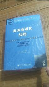 湖南城市蓝皮书（1）： 省域城镇化战略  （全新未开封）