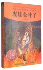 动物小说大王深石溪·品藏书系：虎娃金叶子/新