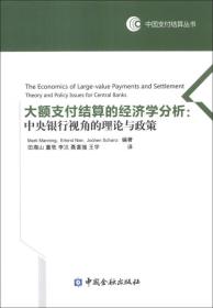 中国支付结算丛书·大额支付结算的经济学分析：中央银行视角的理论与政策