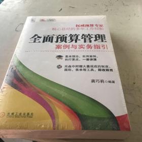 全面预算管理：案例与实务指引