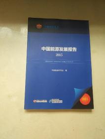 中国能源发展报告2015