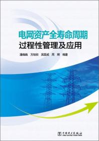 电网资产全寿命周期过程性管理及应用