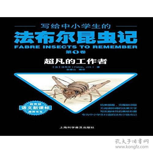 点击查看原图 全新正版 写给中小学生的法布尔昆虫记①超凡的工作者(手绘版)