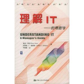 全球化企业领导者译丛:理解IT--经理指导