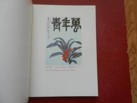 国际青年年美术作品选（ 内含黄胄、李可染、吴冠中、范曾、娄师白、刘海栗 、许麟卢、叶浅予 等100多位名家作品）