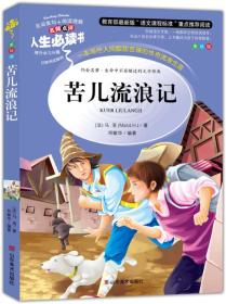 人生必读书-苦儿流浪记山东美术出版社9787533041762