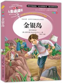 金银岛 美绘插图版 名词美句 名师点评 中小学生必读书系