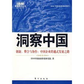 洞察中国--创新、整合与协作：中国企业跨越式发展之道