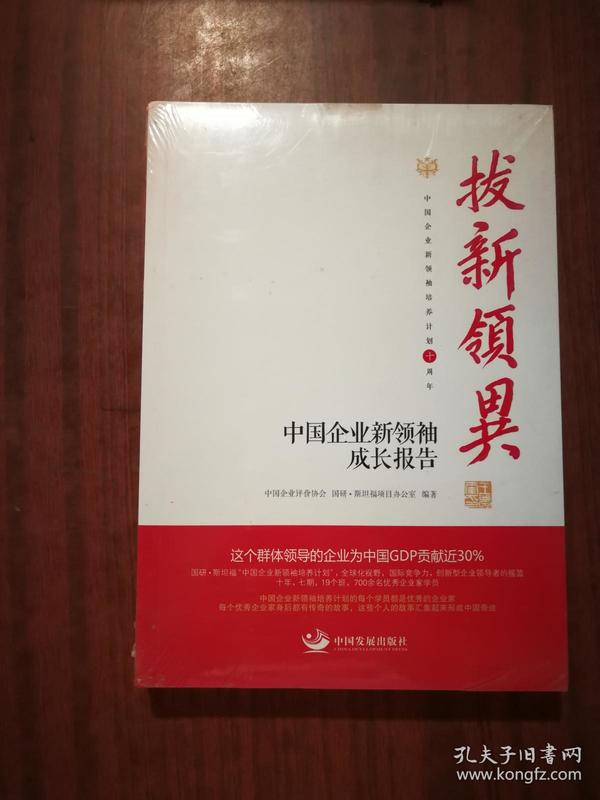 拔新领异 中国企业新领袖成长报告