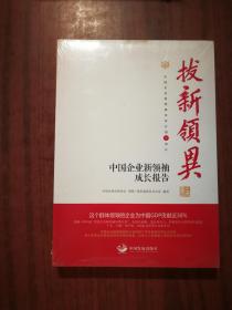 拔新领异 中国企业新领袖成长报告