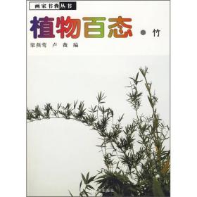植物百态·竹