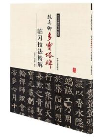 历代名家碑帖临习技法精解：颜真卿多宝塔碑临习技法精解