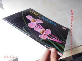 兰花新品精品