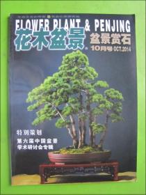 花木盆景--盆景赏石（2014年10月号）