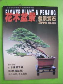 花木盆景--盆景赏石（2014年2月号）