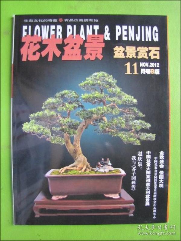 花木盆景--盆景赏石(2012年11月号B版)