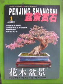 花木盆景--盆景赏石（2012年1月号）
