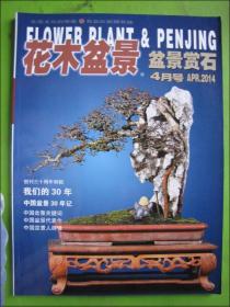 花木盆景--盆景赏石（2014年4月号）